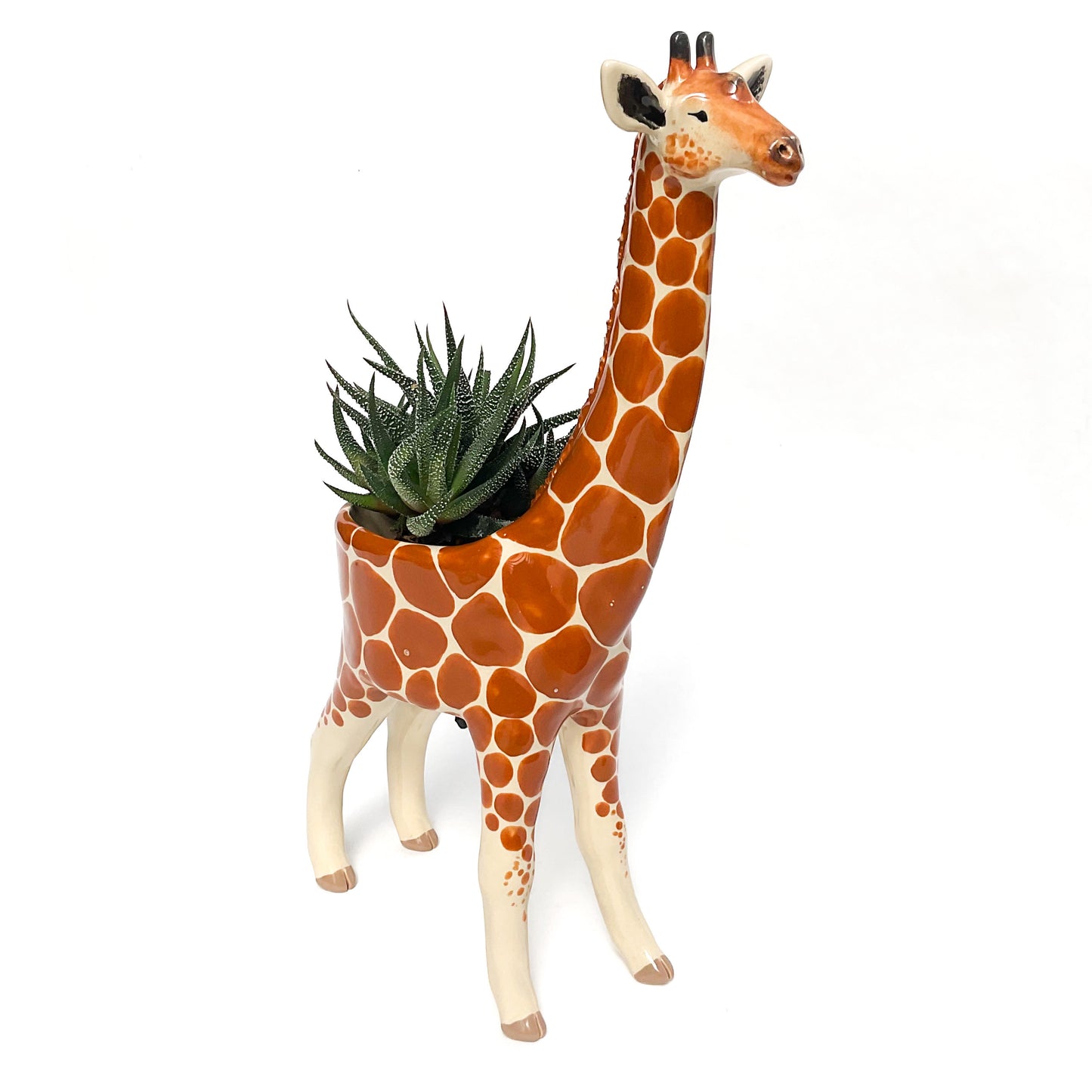 Giraffe Planter - Giraffe Succulent Pot