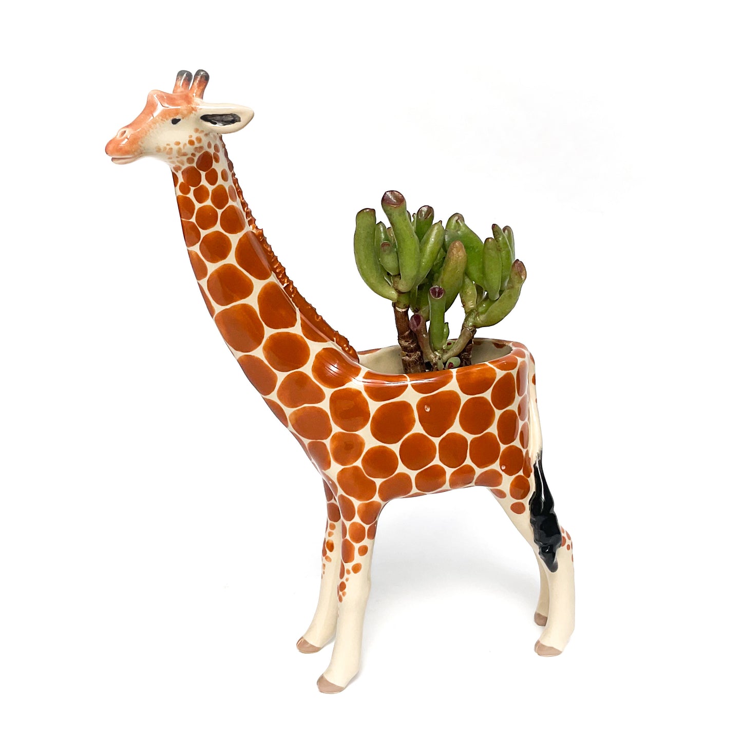 Giraffe Pot - Ceramic Giraffe Planter