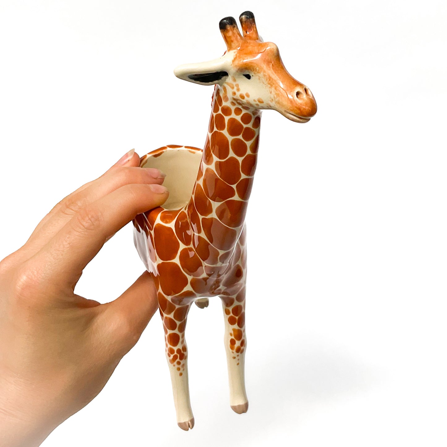 Giraffe Pot - Ceramic Giraffe Planter