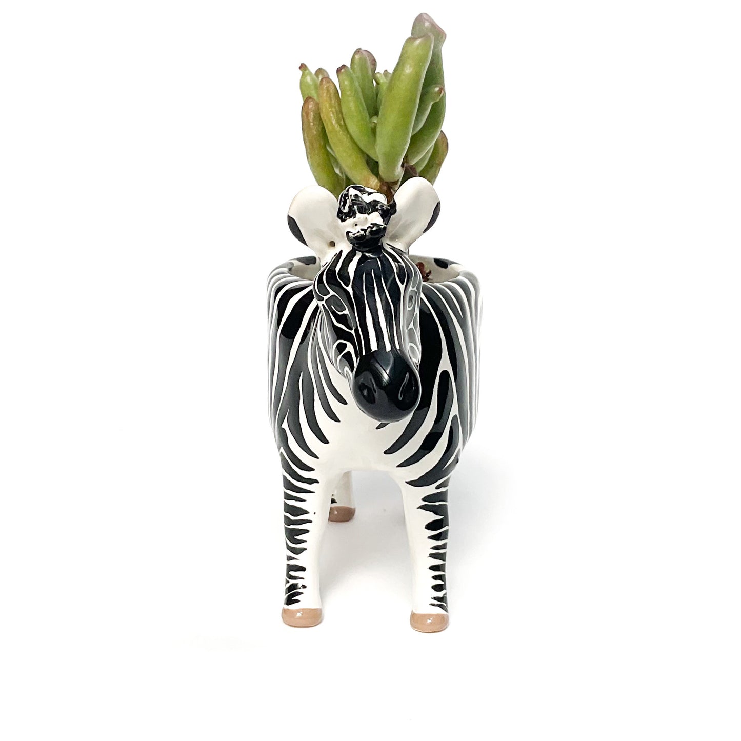 Zebra Pot - Ceramic Zebra Planter