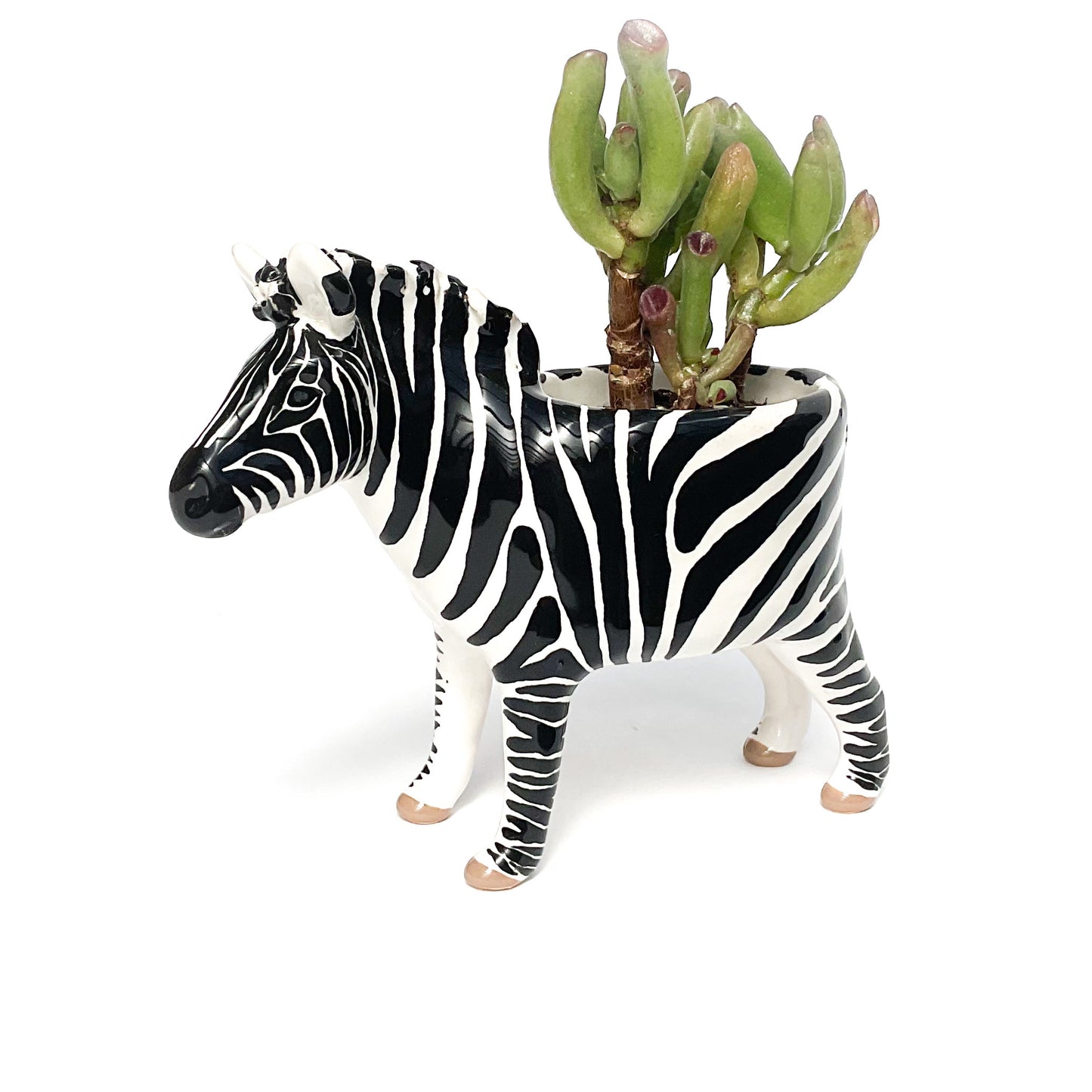 Zebra Pot - Ceramic Zebra Planter