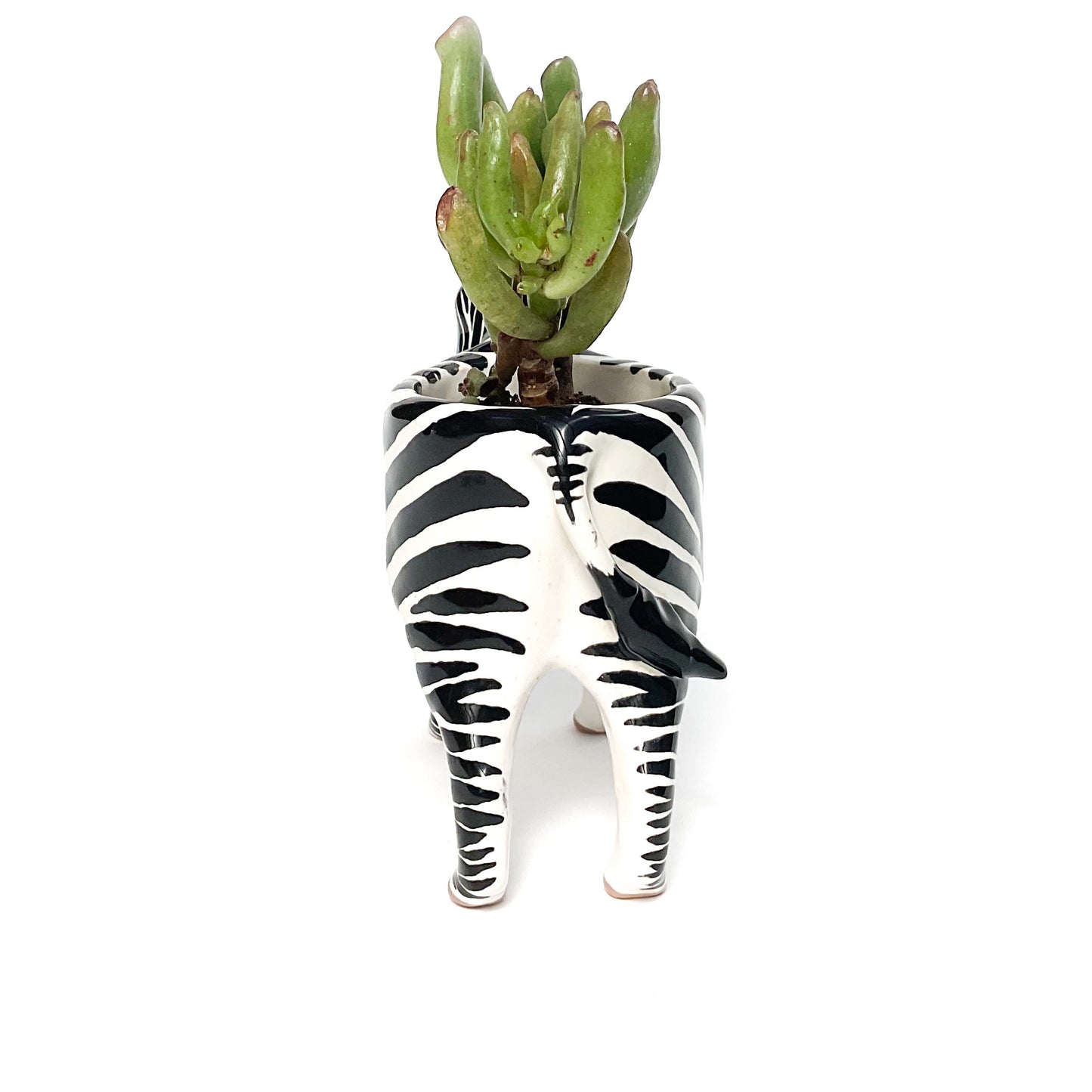 Zebra Pot - Ceramic Zebra Planter