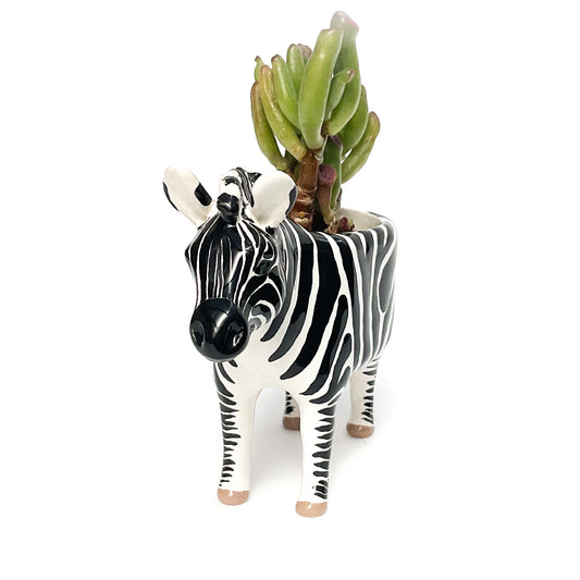 Zebra Pot - Ceramic Zebra Planter