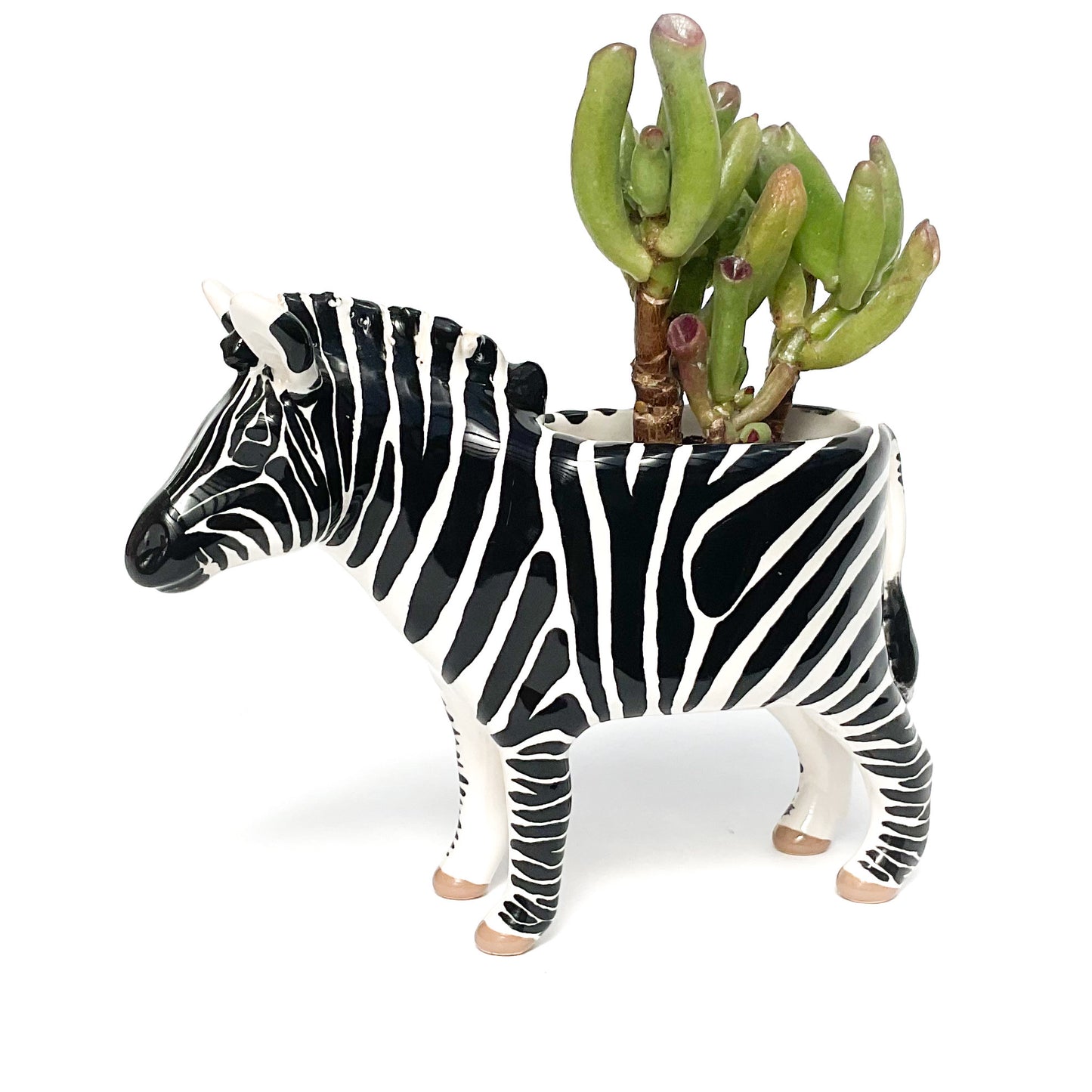 Zebra Pot - Ceramic Zebra Planter