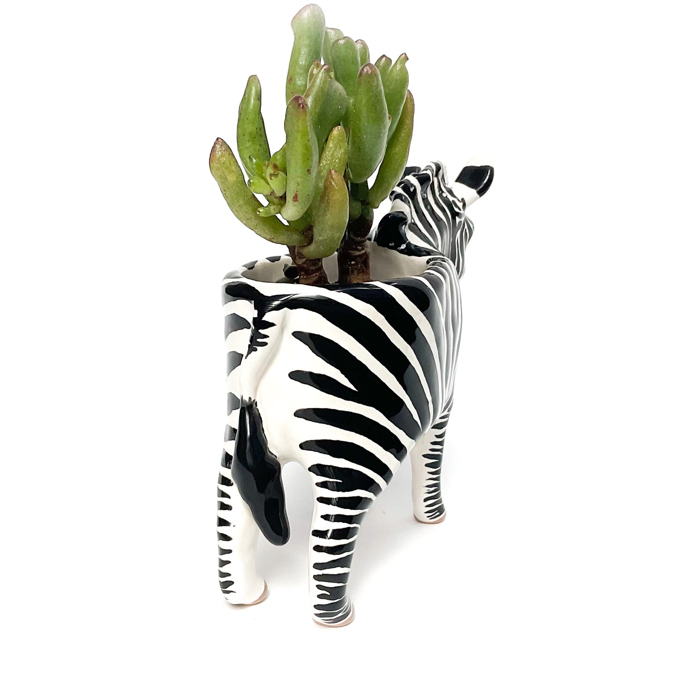 Zebra Pot - Ceramic Zebra Planter