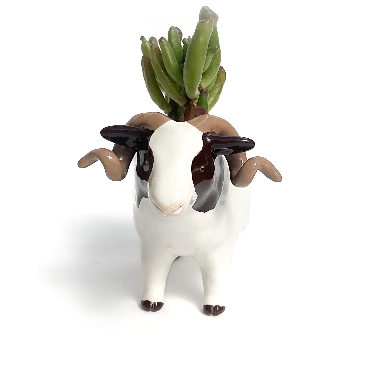 Icelandic Sheep Pot - Ceramic Sheep Planter