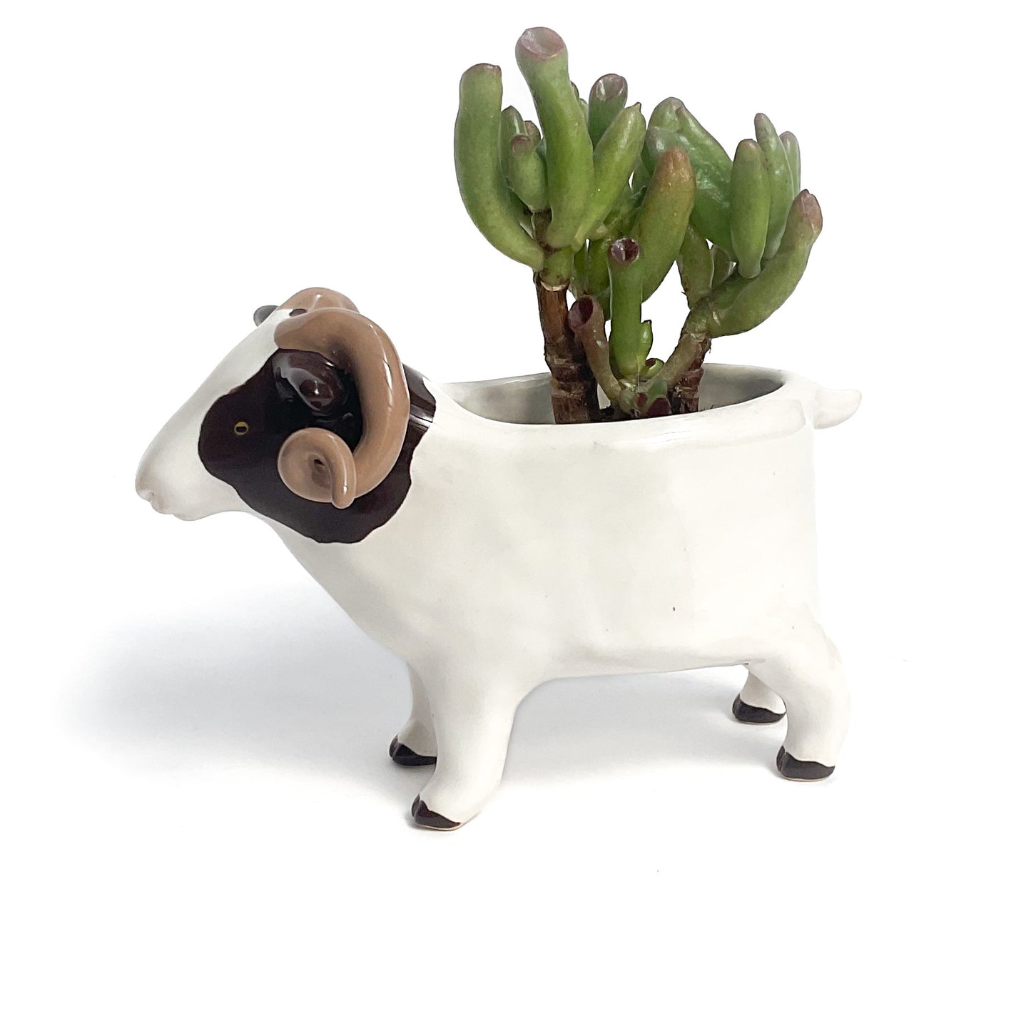 Icelandic Sheep Pot - Ceramic Sheep Planter