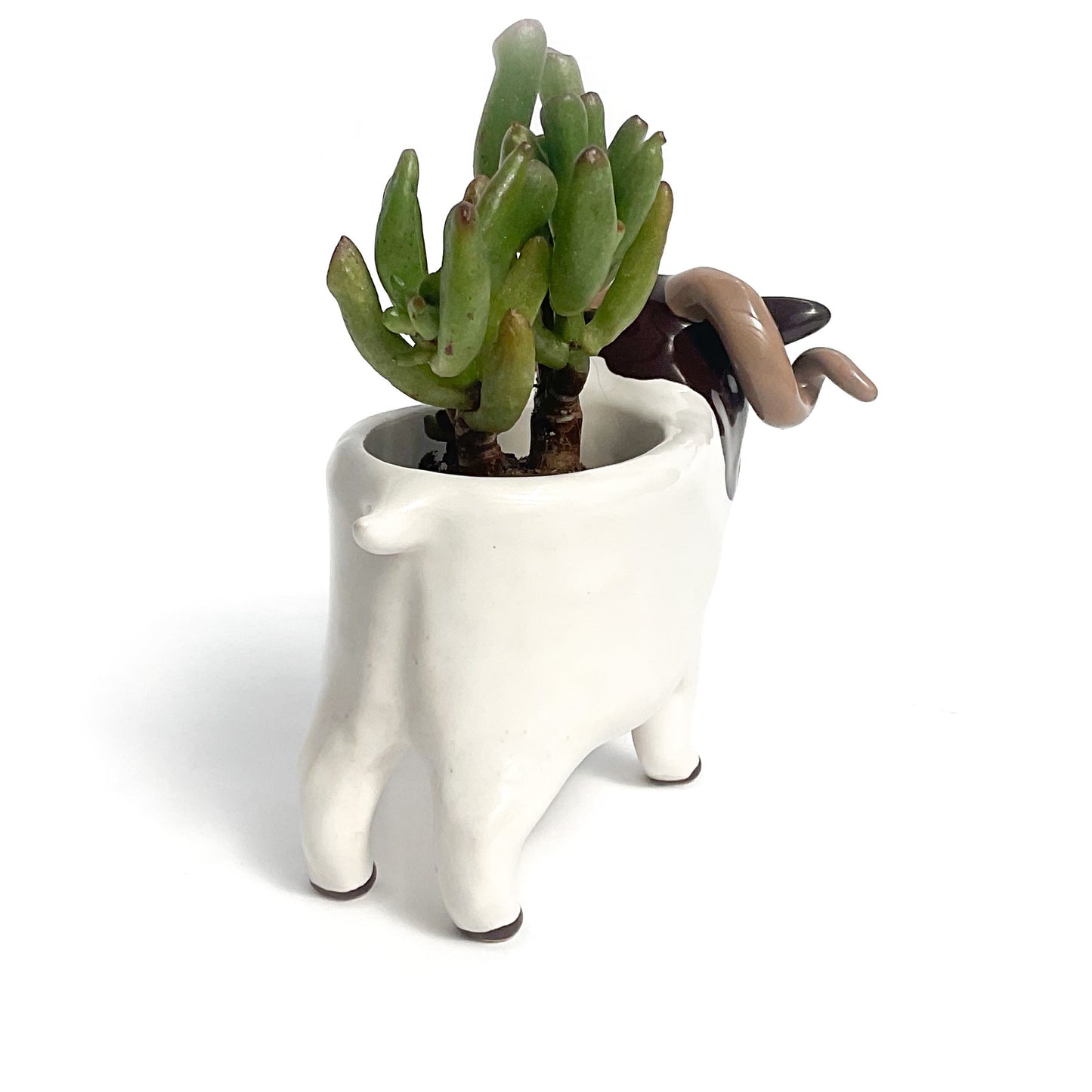 Icelandic Sheep Pot - Ceramic Sheep Planter