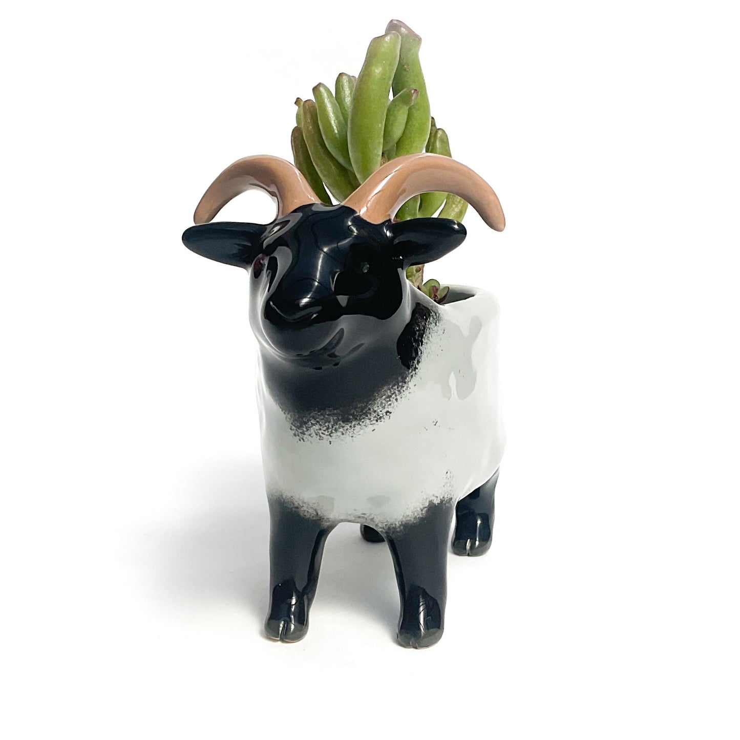 Gray Icelandic Sheep Pot - Ceramic Sheep Planter