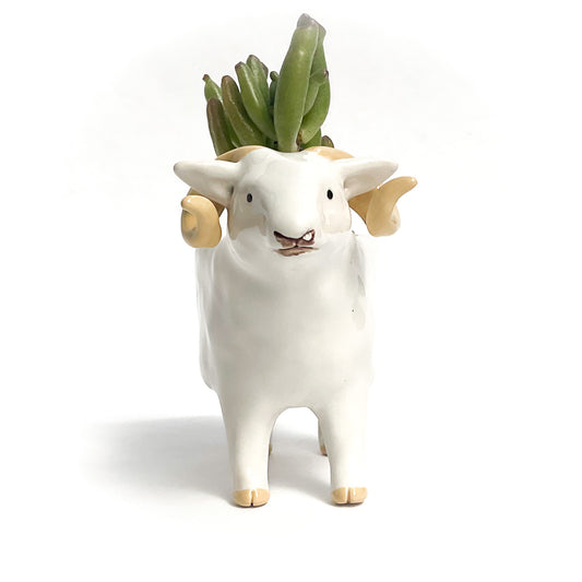 White Icelandic Sheep Pot - Ceramic Sheep Planter