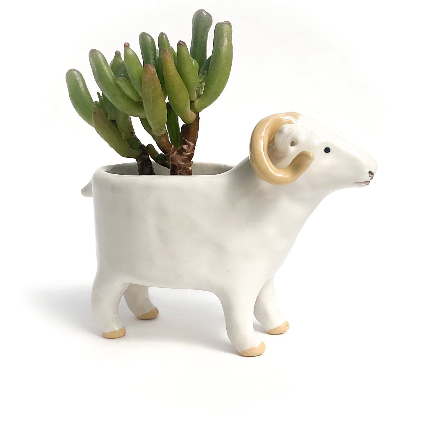 White Icelandic Sheep Pot - Ceramic Sheep Planter