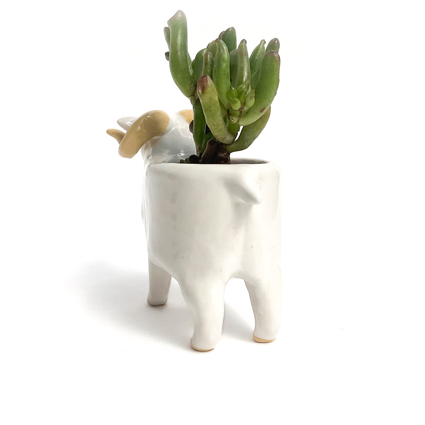 White Icelandic Sheep Pot - Ceramic Sheep Planter