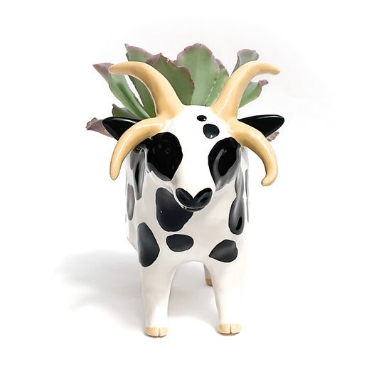 Four-Horned Jacob Sheep Pot - Ceramic Sheep Planter