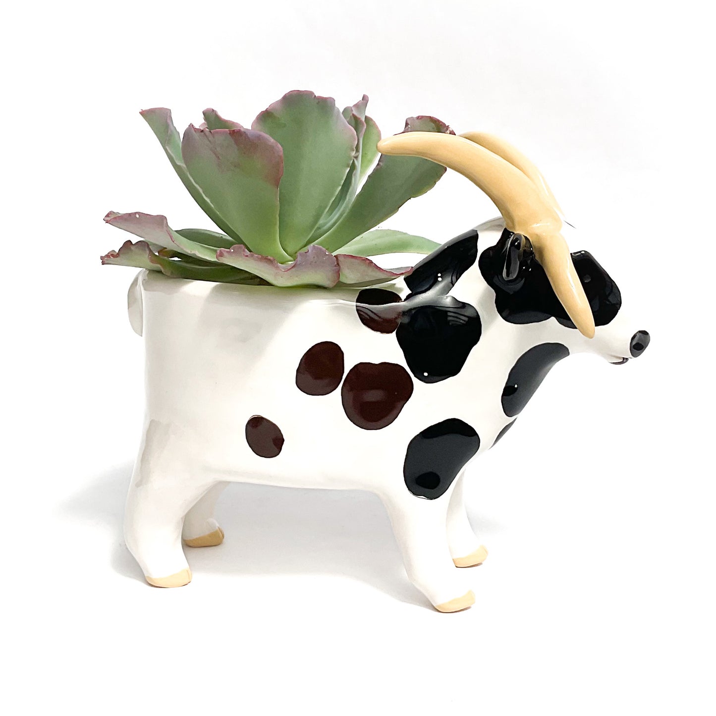 Four-Horned Jacob Sheep Pot - Ceramic Sheep Planter