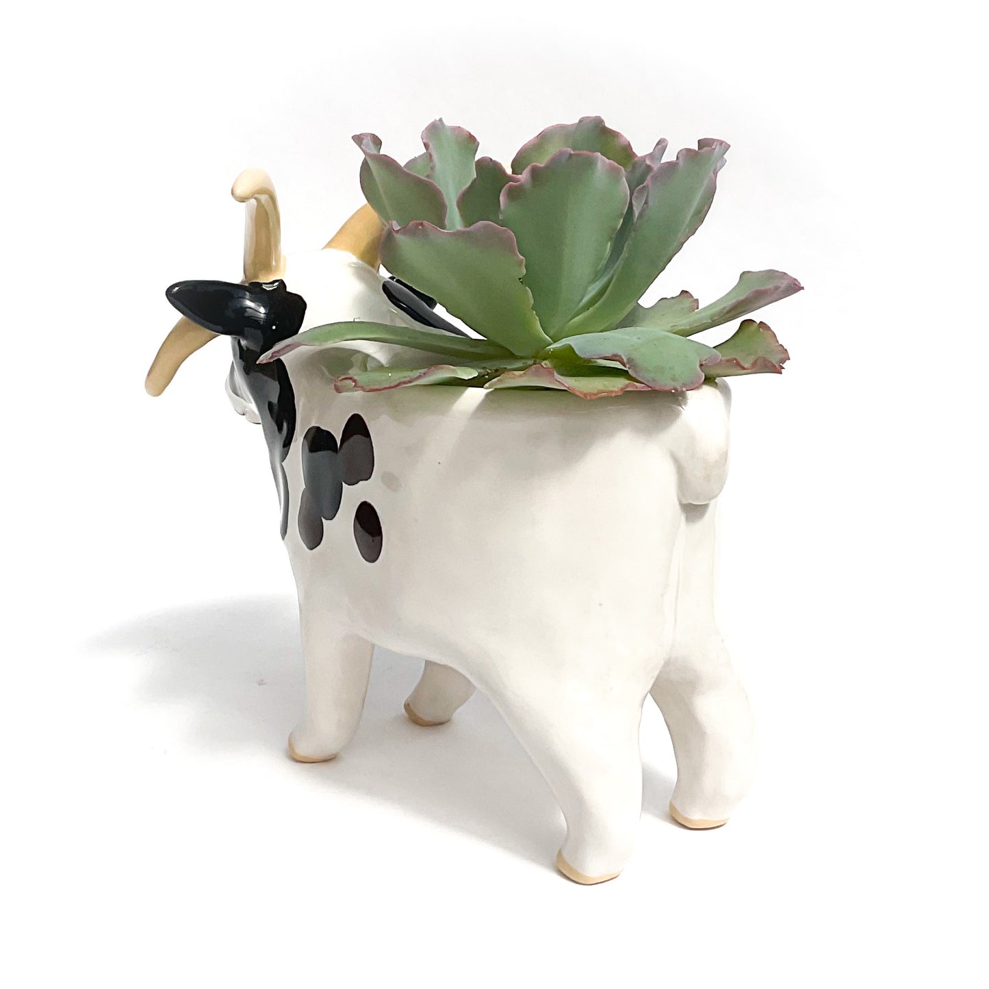 Four-Horned Jacob Sheep Pot - Ceramic Sheep Planter