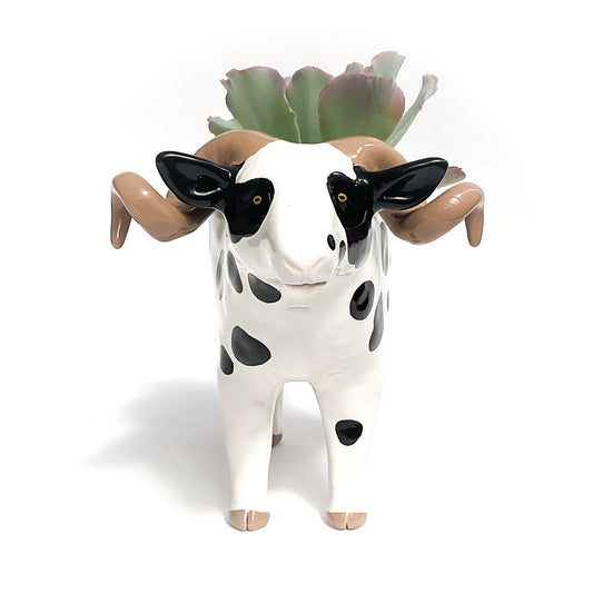 Jacob Sheep Pot - Ceramic Sheep Planter