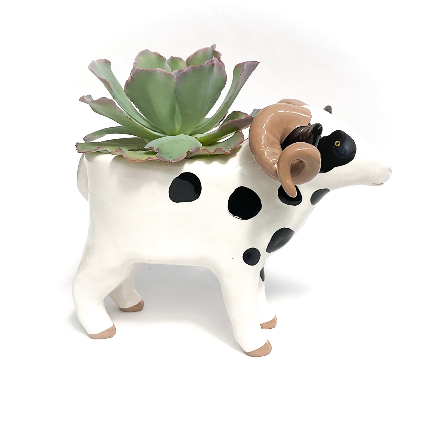 Jacob Sheep Pot - Ceramic Sheep Planter