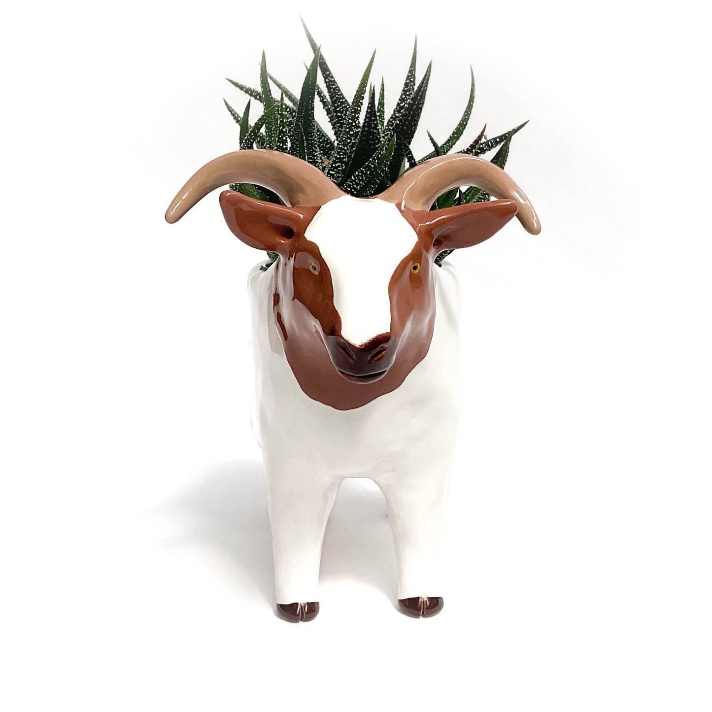 Icelandic Sheep Pot - Ceramic Sheep Planter