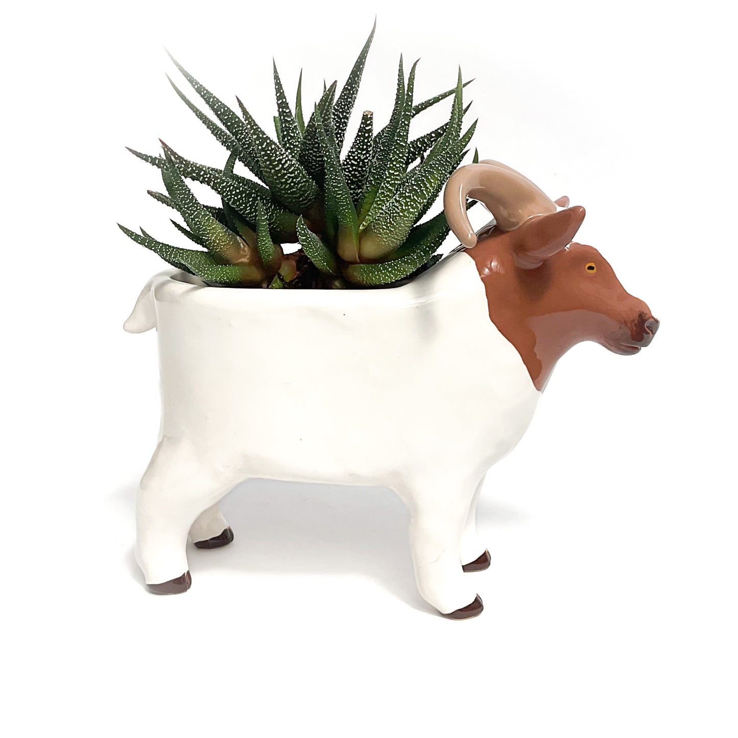 Icelandic Sheep Pot - Ceramic Sheep Planter