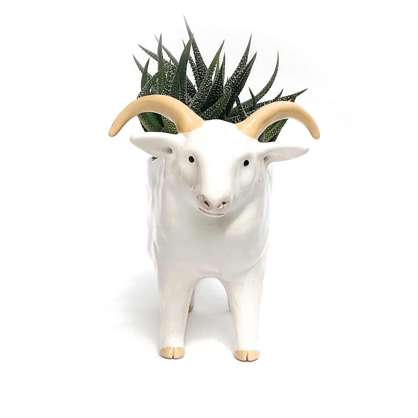 White Icelandic Sheep Pot - Ceramic Sheep Planter