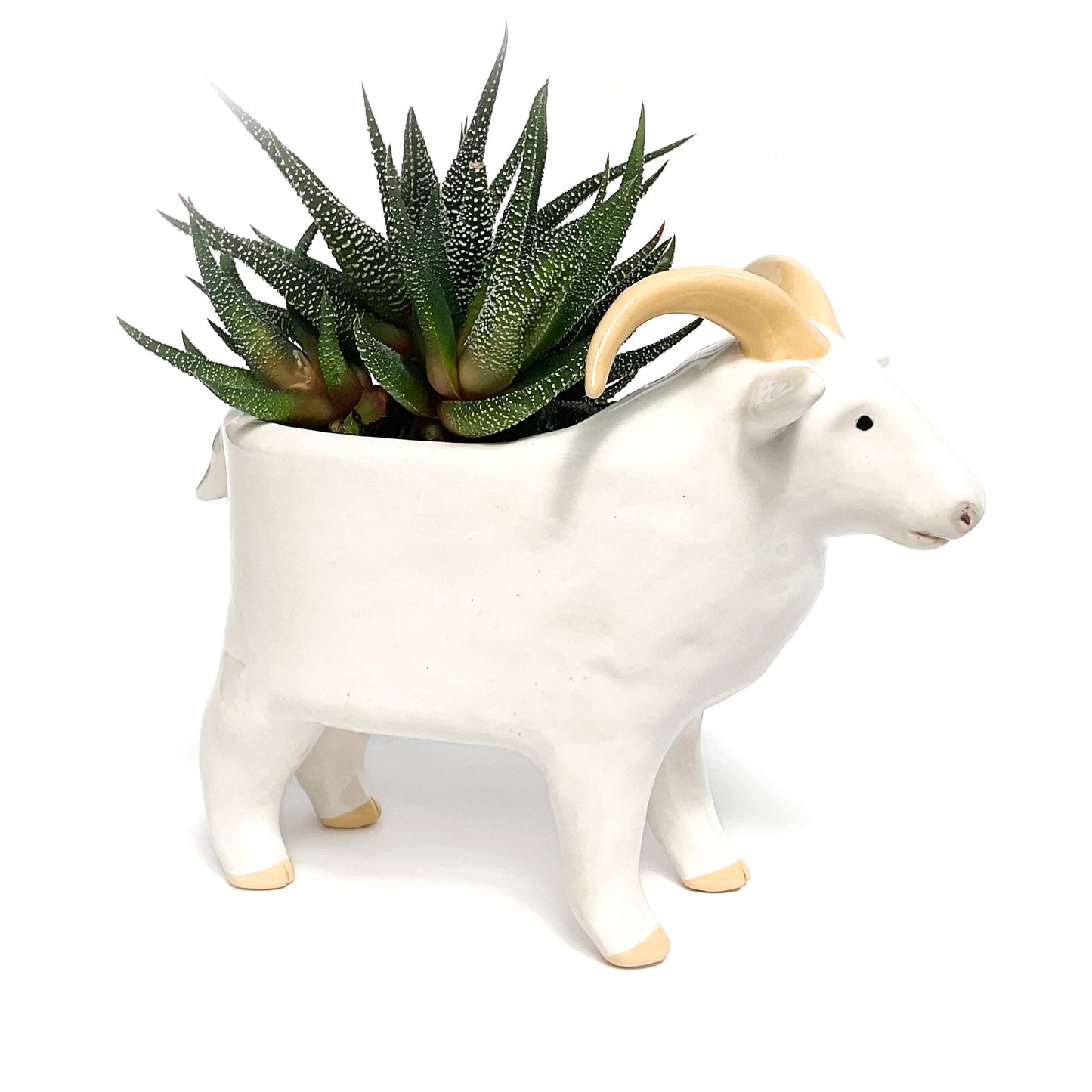 White Icelandic Sheep Pot - Ceramic Sheep Planter