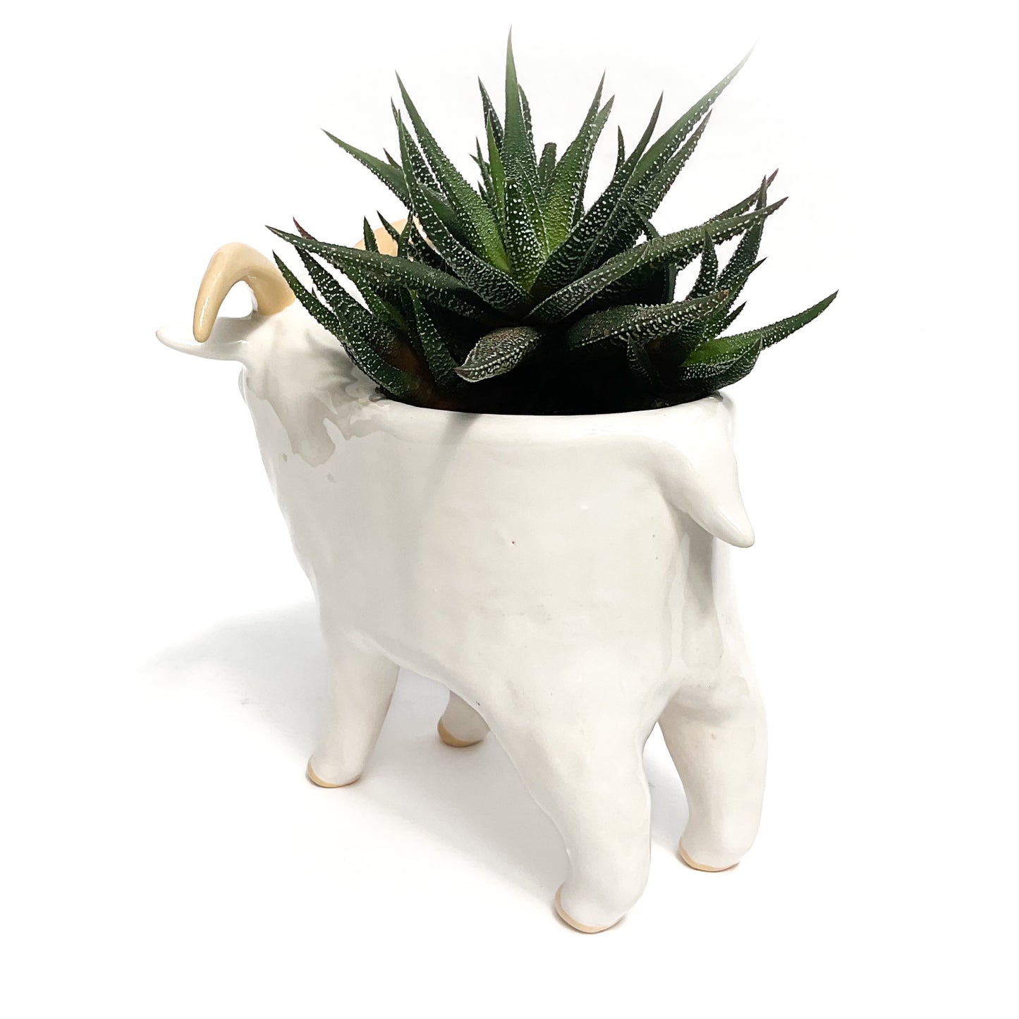 White Icelandic Sheep Pot - Ceramic Sheep Planter