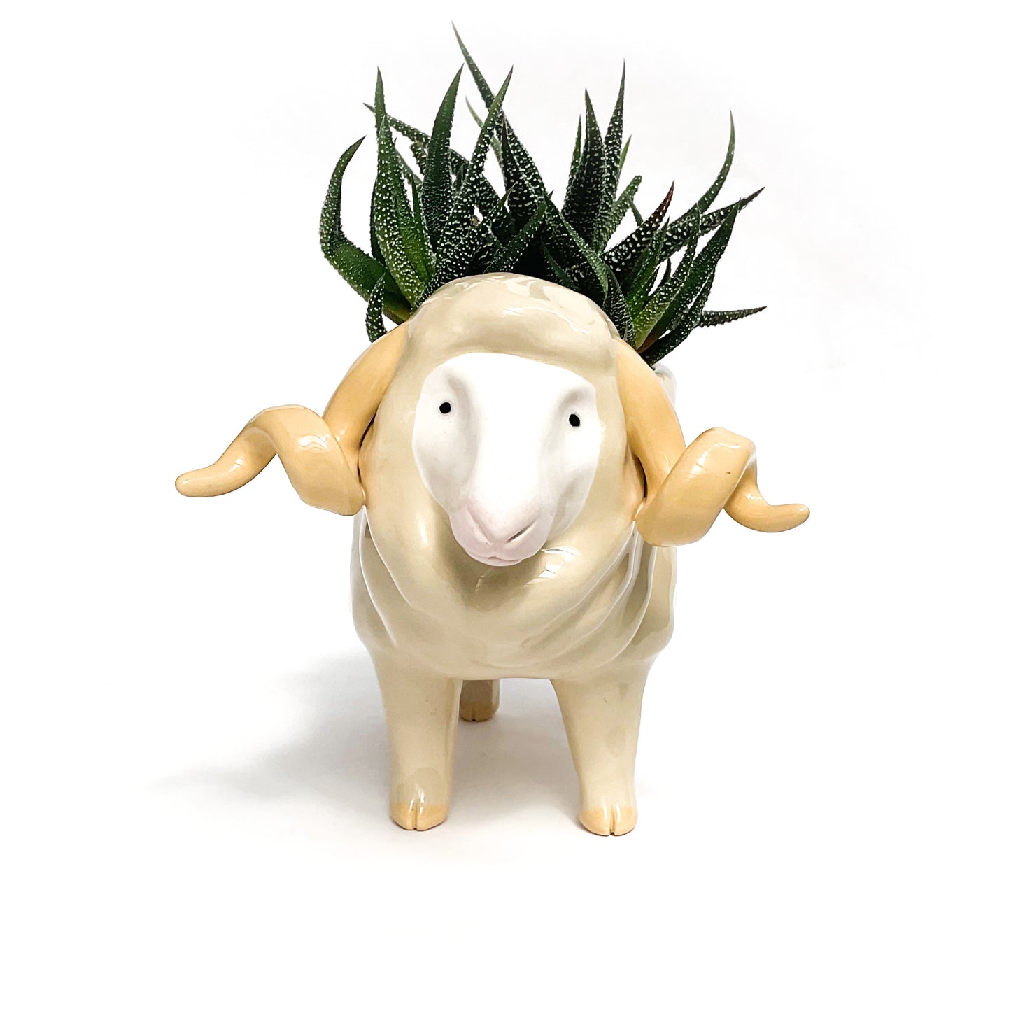 Merino Pot - Ceramic Sheep Planter