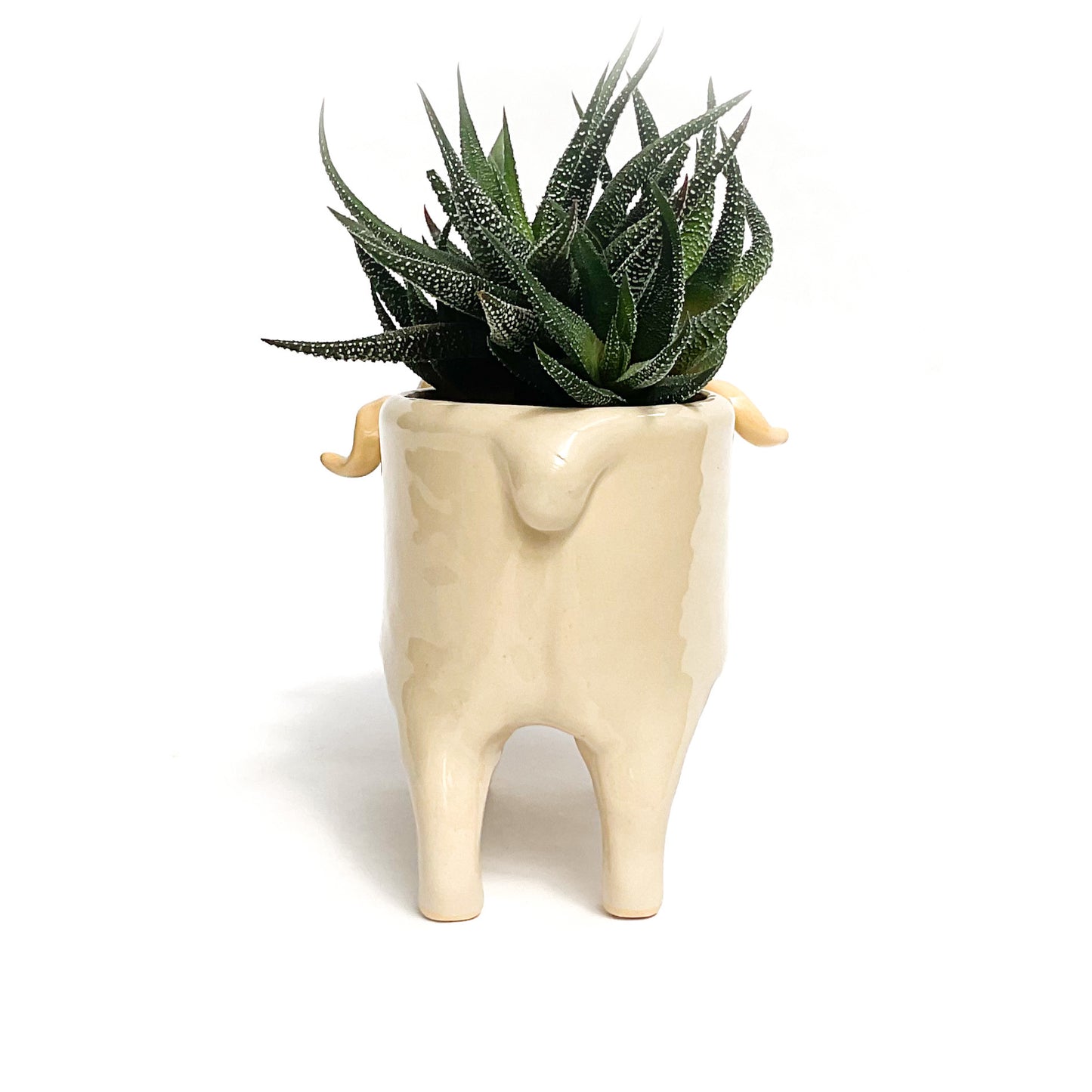 Merino Pot - Ceramic Sheep Planter