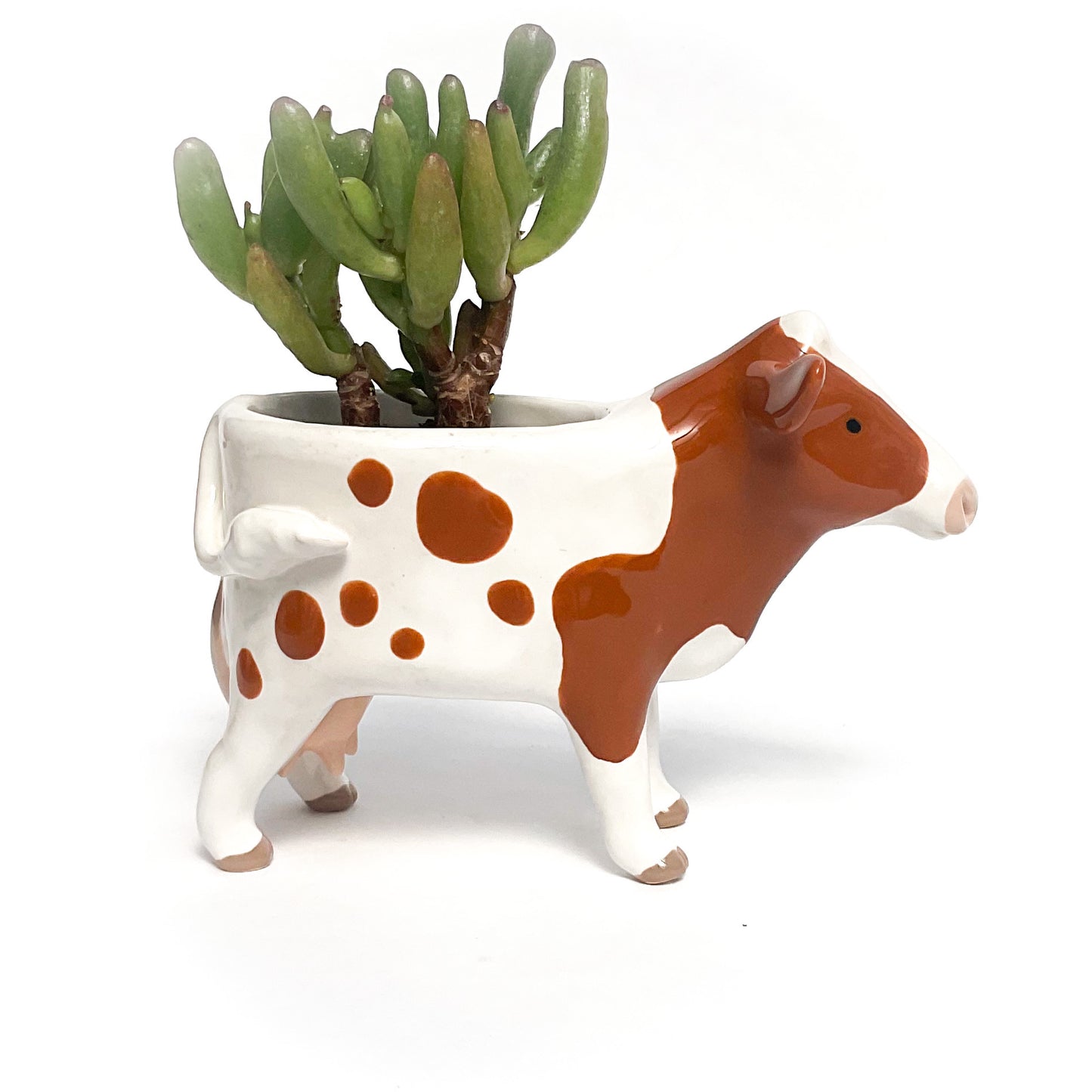 Guernsey Cow Pot