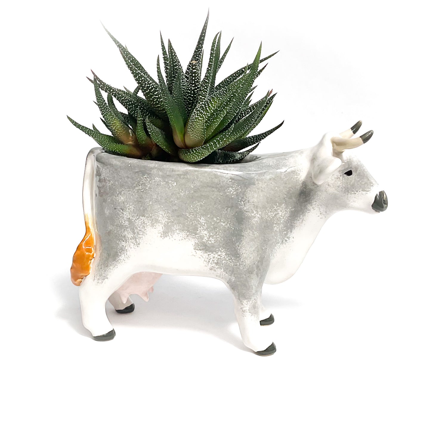 Gray & White Brown Swiss Cow Pot