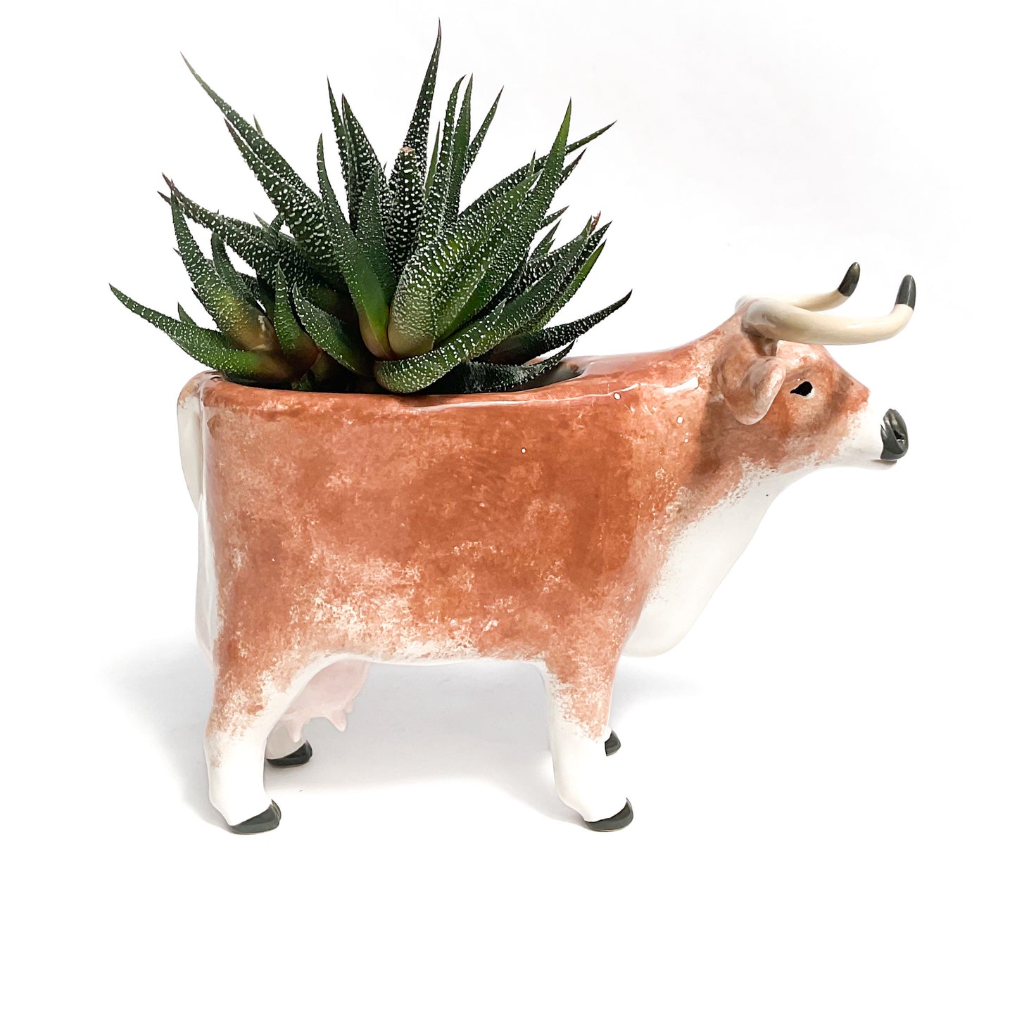 Brown Swiss Cow Pot