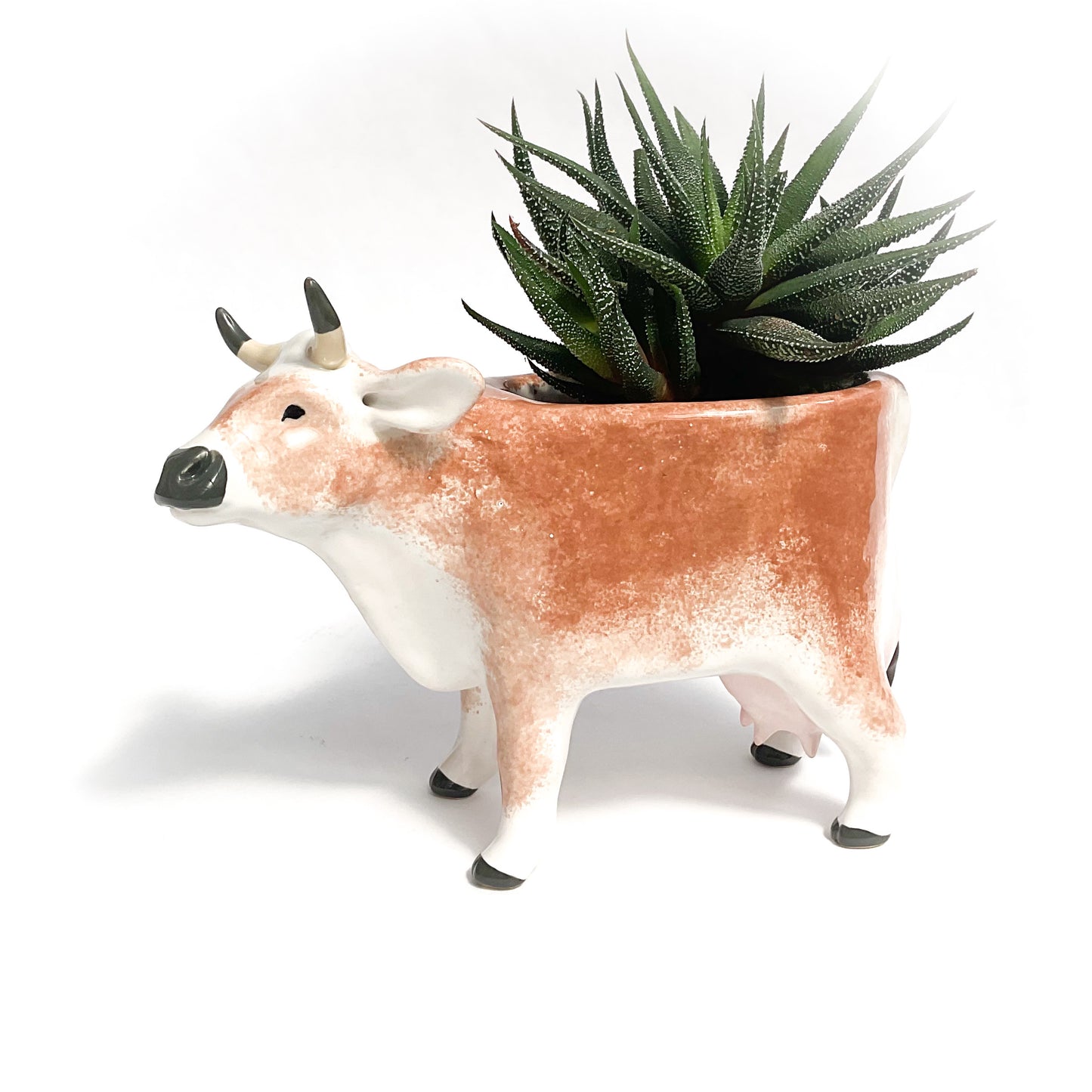 Brown Swiss Cow Pot