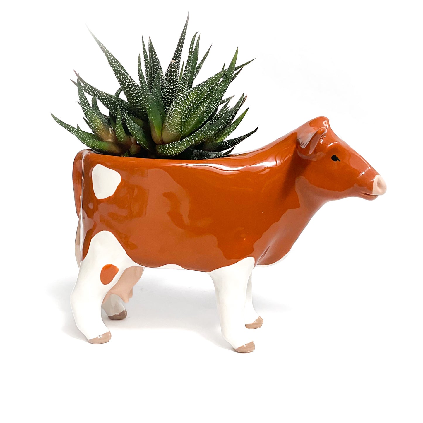 Guernsey Cow Pot