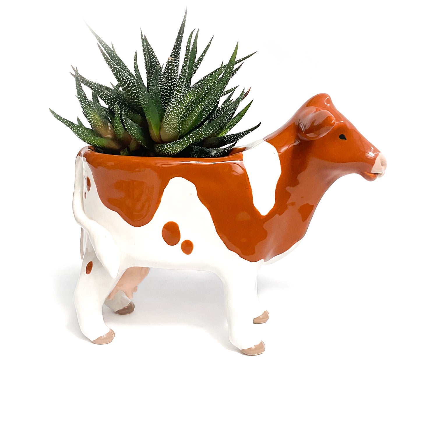 Guernsey Cow Pot