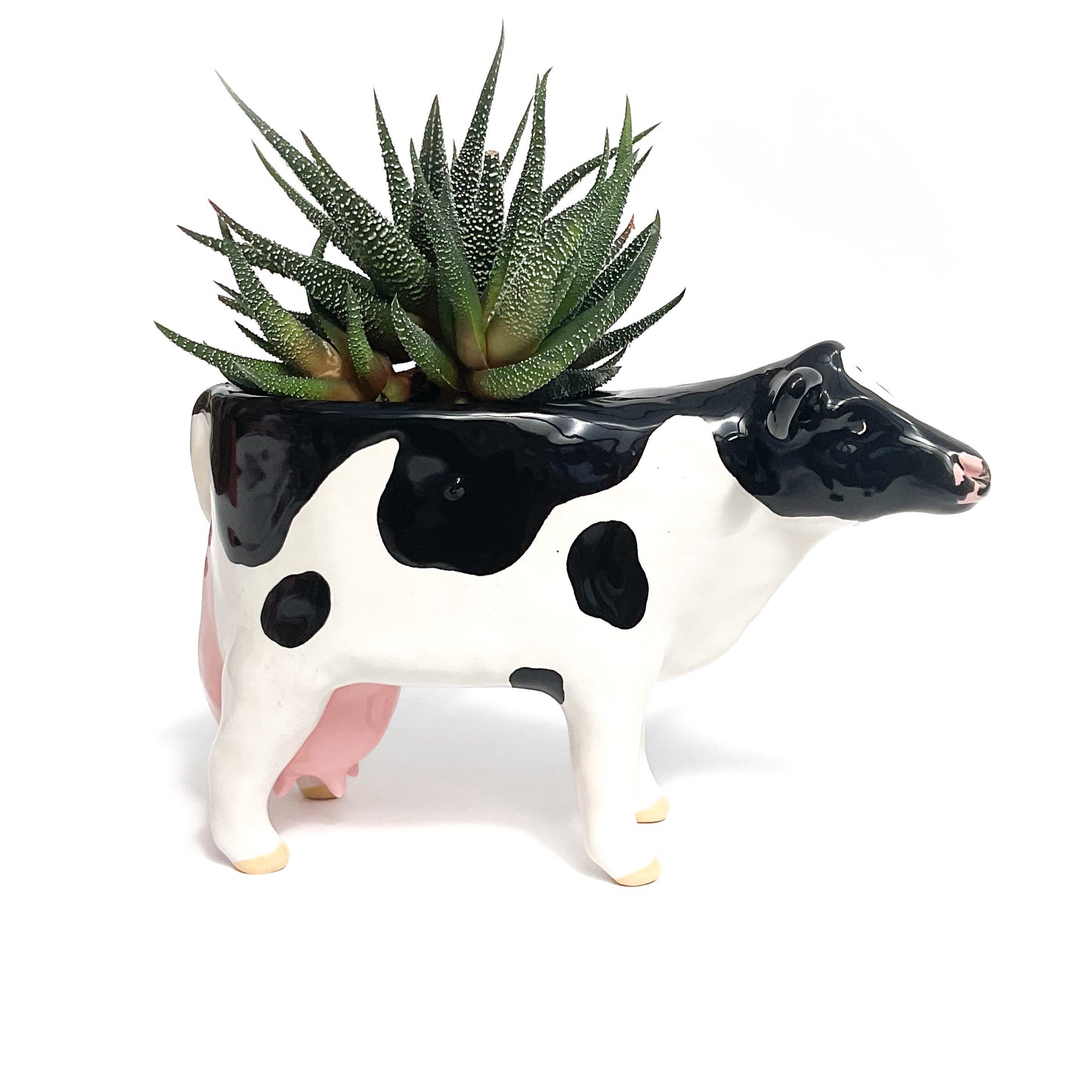 Holstein Friesian Cow Pot