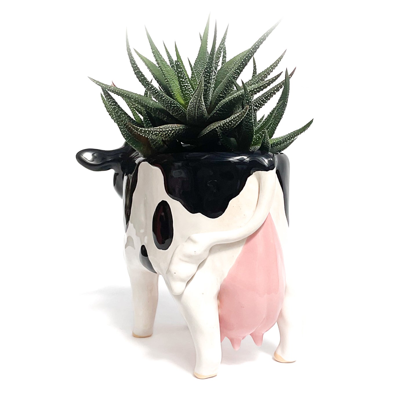 Holstein Friesian Cow Pot