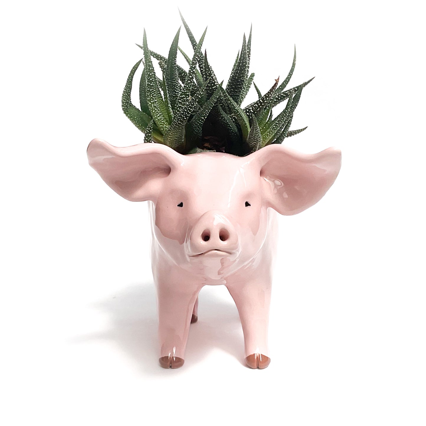 Pink Yorkshire Pig Pot