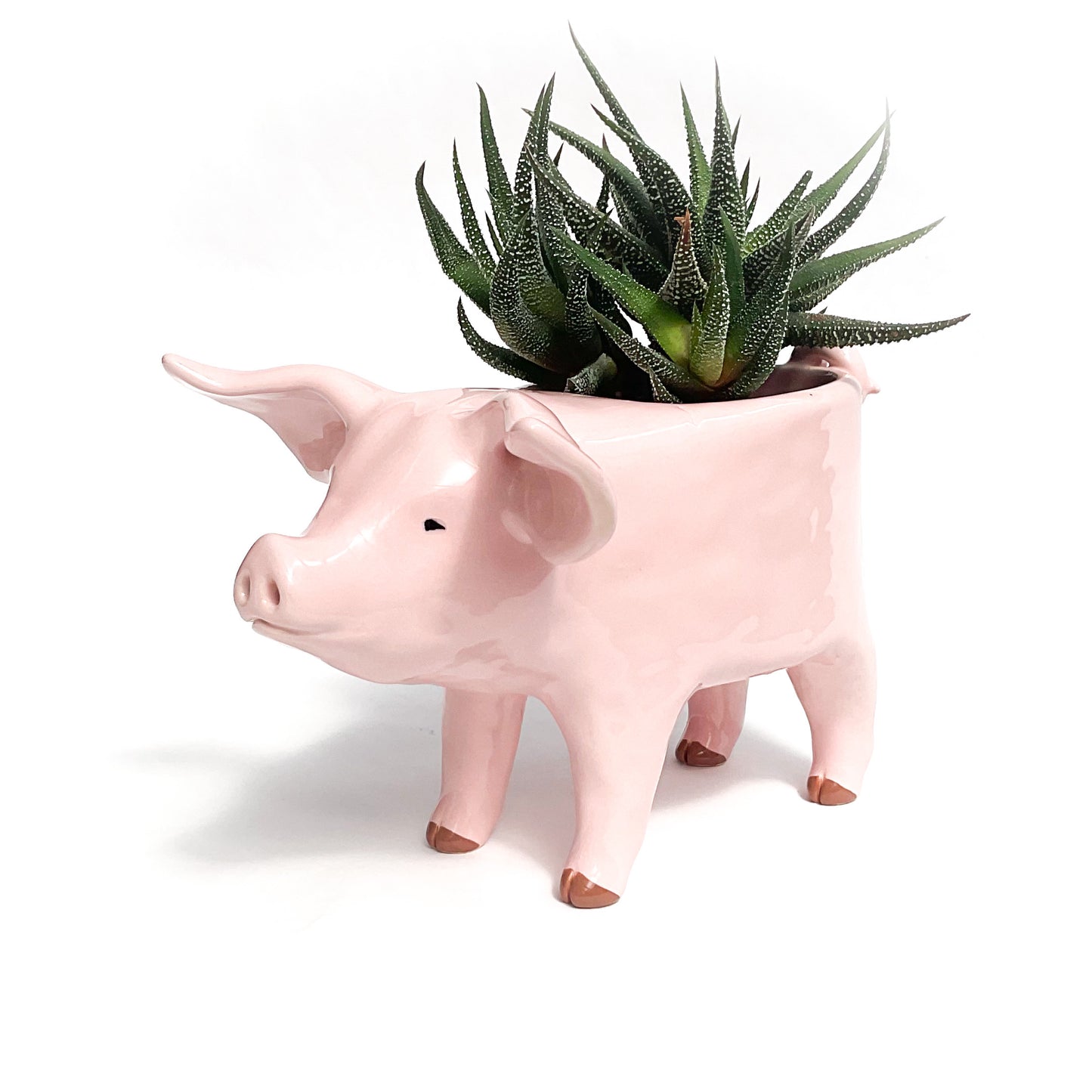 Pink Yorkshire Pig Pot