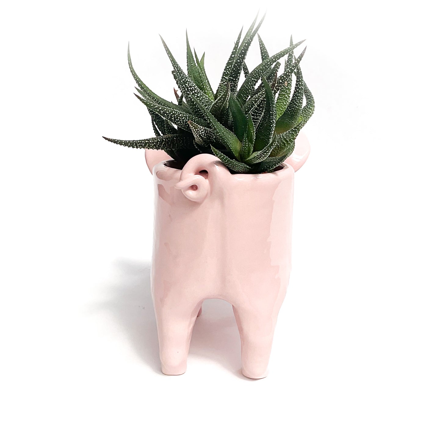 Pink Yorkshire Pig Pot