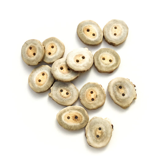 Deer Antler Shed Buttons  1"