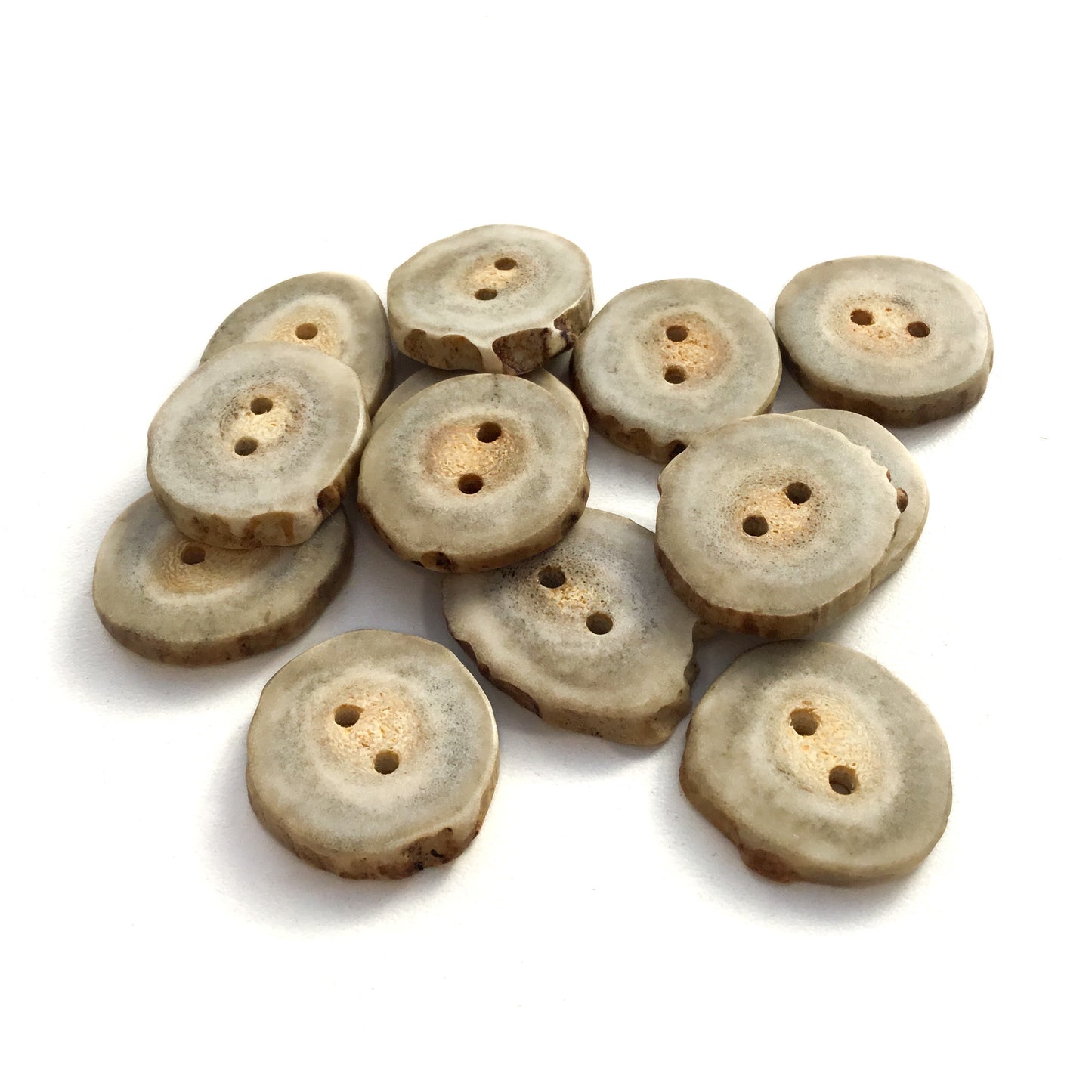 Deer Antler Shed Buttons  1"