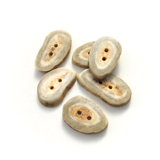 Deer Antler Shed Buttons  3/4" x 1-1/4"