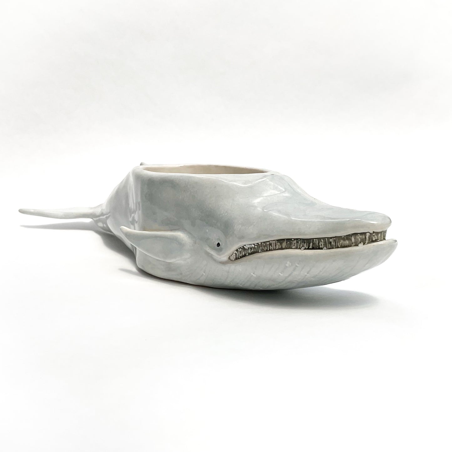 'Baleen' Blue Whale Pot - Ceramic Whale Planter