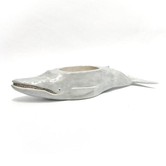 'Baleen' Blue Whale Pot - Ceramic Whale Planter