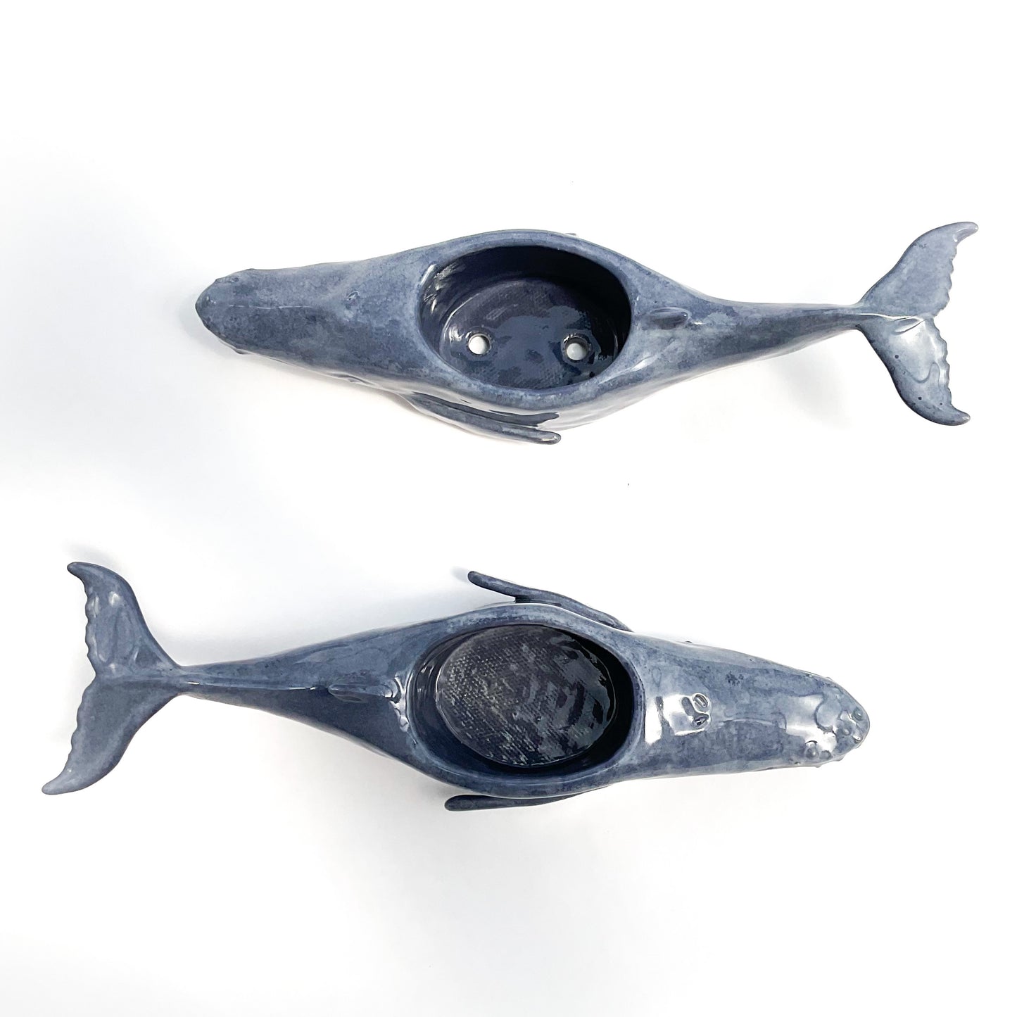 Humpback Whale Pot - Ceramic Whale Planter