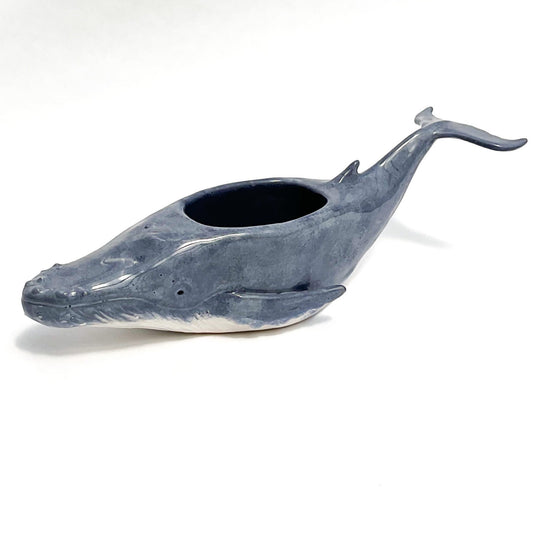 Humpback Whale Pot - Ceramic Whale Planter