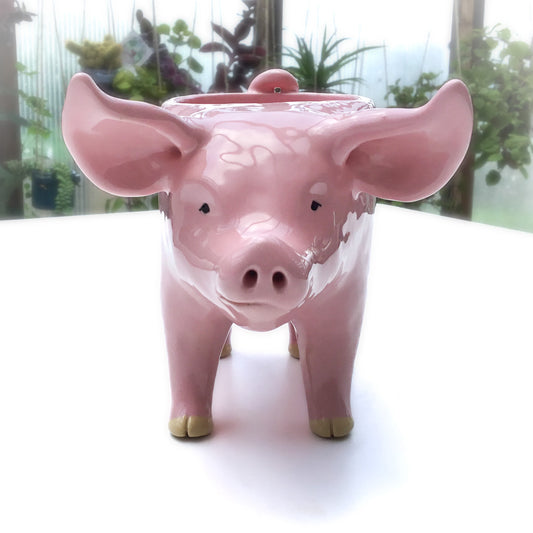 **RESERVED** Pink Pig Planter