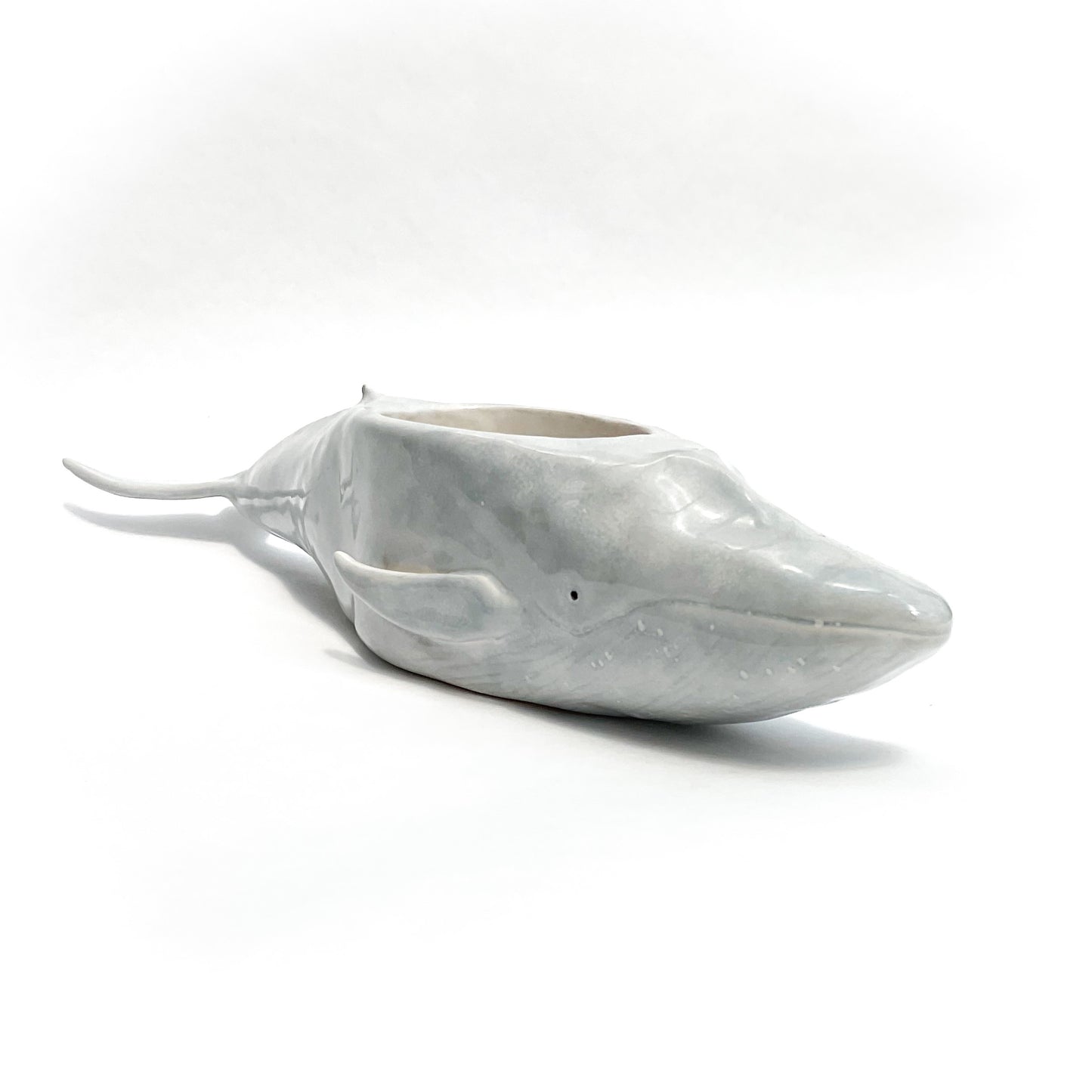 Blue Whale Pot - Ceramic Whale Planter