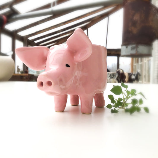 Little Pink Pig Pot - Ceramic Pig Planter