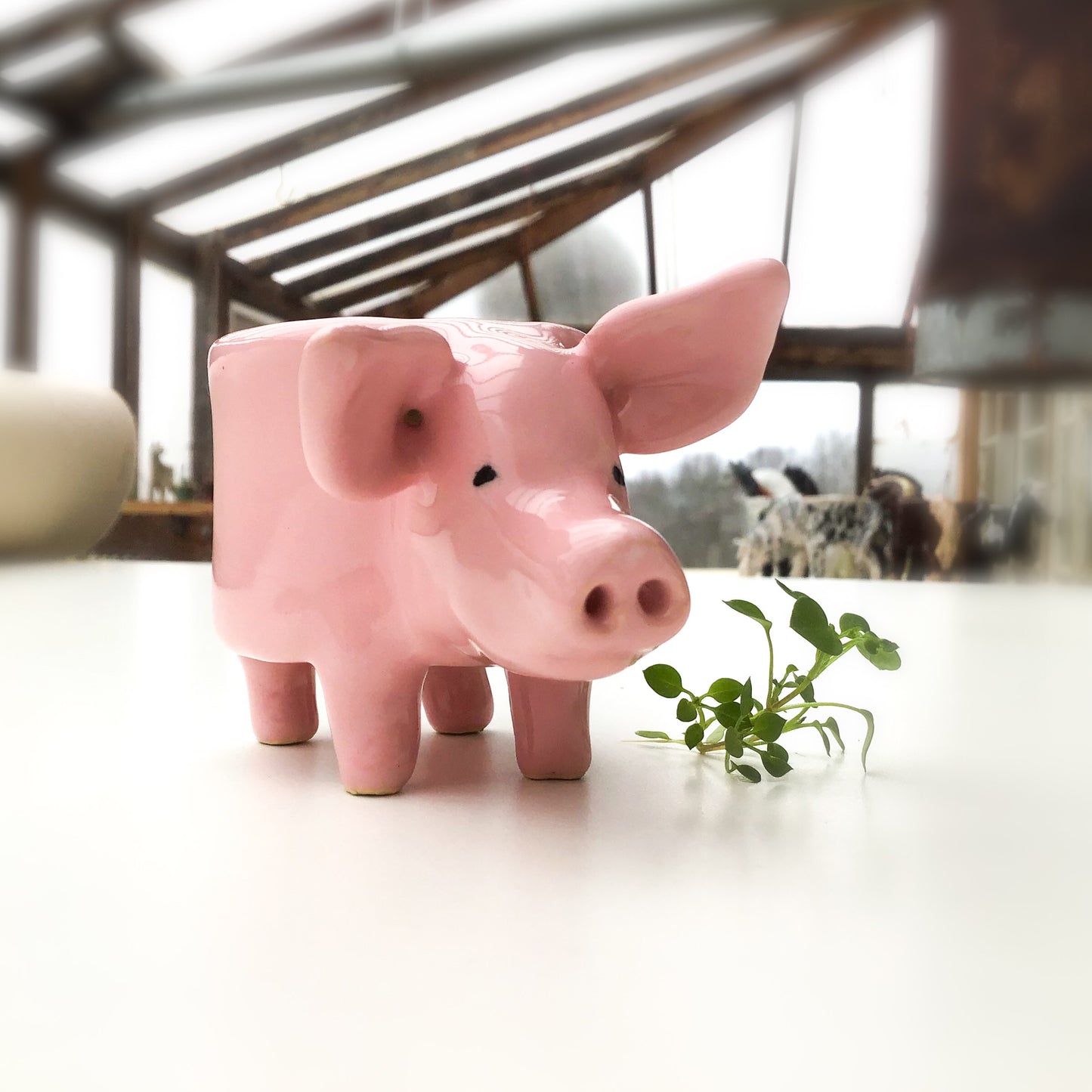 Little Pink Pig Pot - Ceramic Pig Planter